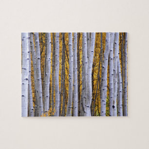 USA, Colorado, Rocky Mountains.  Intimate scene Jigsaw Puzzle