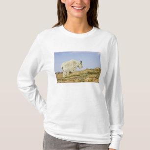 USA, Colorado, Rocky Mountains, Mount Evans, T-Shirt