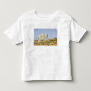 USA, Colorado, Rocky Mountains, Mount Evans, Toddler T-Shirt