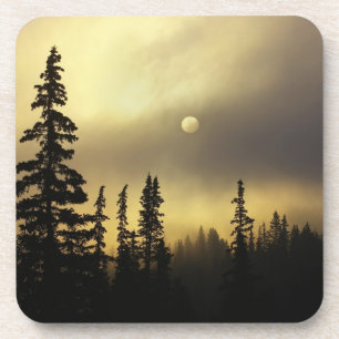 USA, Colorado, San Isabel National Forest. Coaster