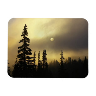 USA, Colorado, San Isabel National Forest. Magnet