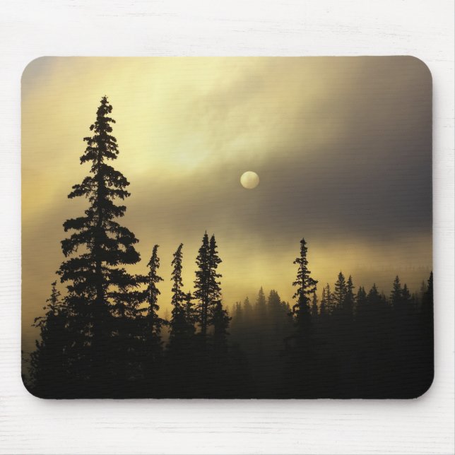 USA, Colorado, San Isabel National Forest. Mouse Pad (Front)