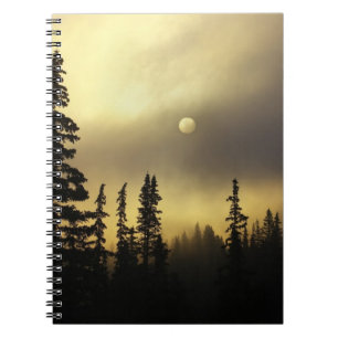 USA, Colorado, San Isabel National Forest. Spiral Notebook