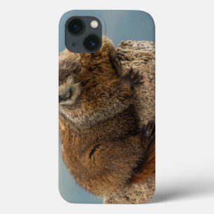 USA, Colorado, San Juan Mountains 2 iPhone 13 Case