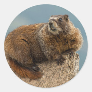 USA, Colorado, San Juan Mountains 2 Classic Round Sticker