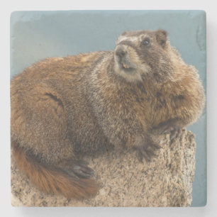 USA, Colorado, San Juan Mountains 2 Stone Coaster