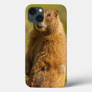USA, Colorado, San Juan Mountains iPhone 13 Case