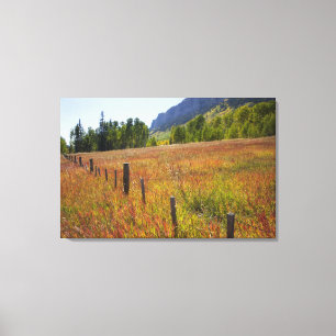 USA, Colorado, San Juan National Forest, along Canvas Print