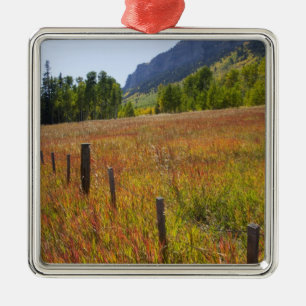 USA, Colorado, San Juan National Forest, along Metal Tree Decoration
