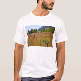 USA, Colorado, San Juan National Forest, along T-Shirt