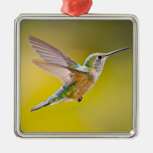 USA, Colorado, Summit County, Heeney. Side view Metal Tree Decoration