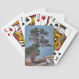 USA, Colorado, Tree In Estes Park Playing Cards