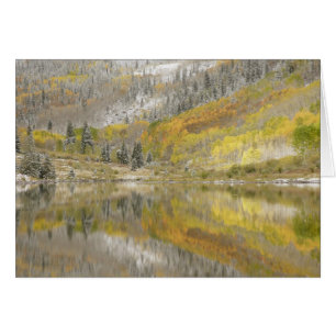 USA, Colorado, White River National Forest, 2