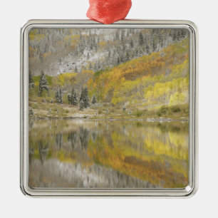 USA, Colorado, White River National Forest, 2 Metal Tree Decoration