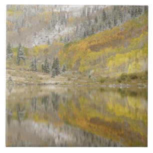 USA, Colorado, White River National Forest, 2 Tile