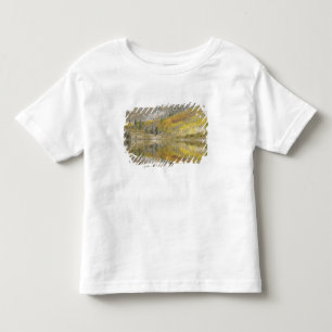 USA, Colorado, White River National Forest, 2 Toddler T-Shirt