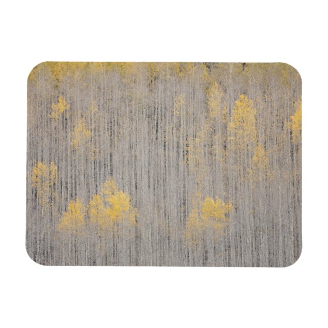 USA, Colorado, White River National Forest. Magnet (Horizontal)