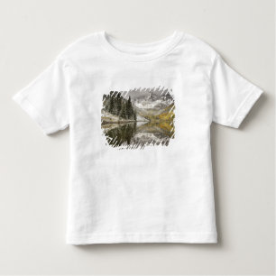 USA, Colorado, White River National Forest, Toddler T-Shirt
