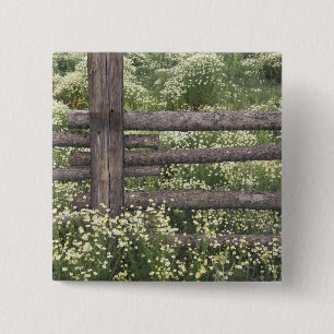 USA, Colorado, Wild Chamomile around log fence 15 Cm Square Badge