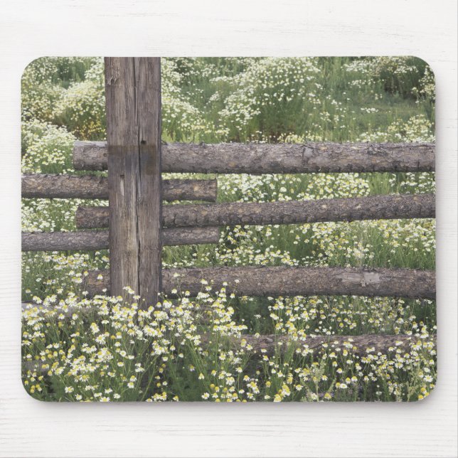 USA, Colorado, Wild Chamomile around log fence Mouse Pad (Front)