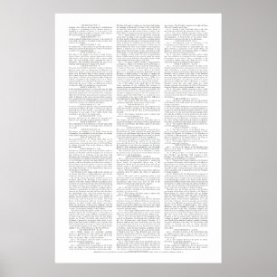 USA Constitutional Amendments Poster