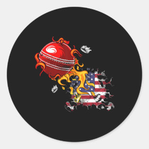 Usa Cricket Classic Round Sticker