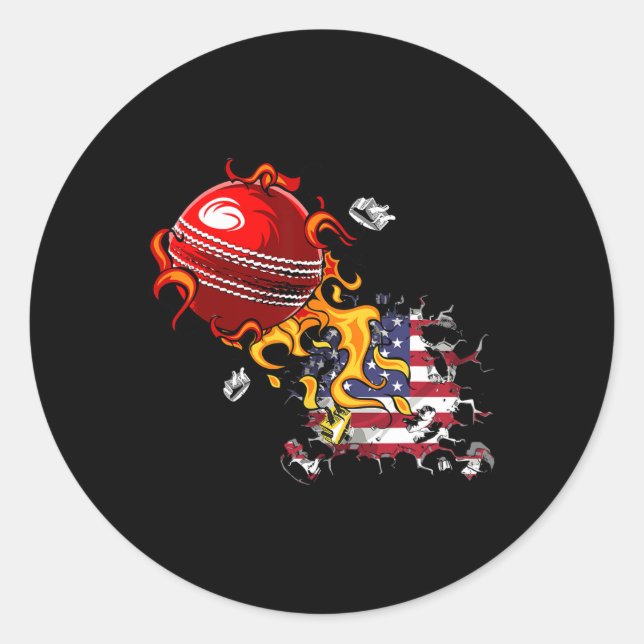 Usa Cricket  Classic Round Sticker (Front)