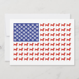 USA Dachshund