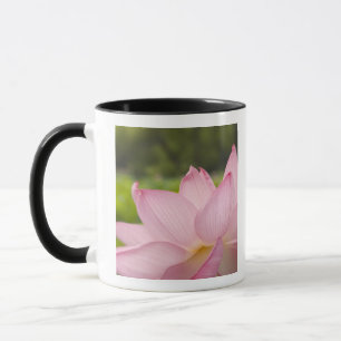 USA, DC, Washington, Kenilworth Aquatic 2 Mug