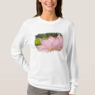 USA, DC, Washington, Kenilworth Aquatic 2 T-Shirt