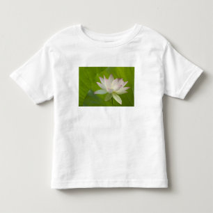 USA, DC, Washington, Kenilworth Aquatic Toddler T-Shirt