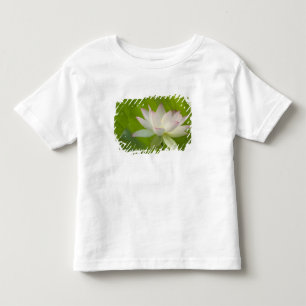 USA, DC, Washington, Kenilworth Aquatic Toddler T-Shirt
