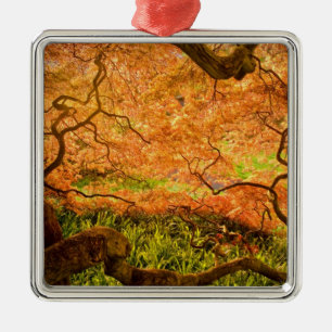 USA, Delaware, Wilmington. Japanese maple Metal Tree Decoration