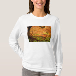 USA, Delaware, Wilmington. Japanese maple T-Shirt
