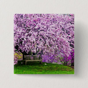 USA, Delaware, Wilmington. Wooden bench under 15 Cm Square Badge