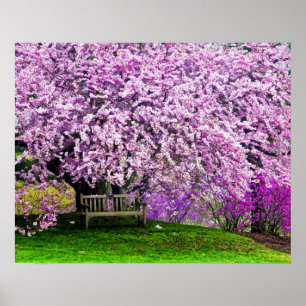 USA, Delaware, Wilmington. Wooden bench under Poster