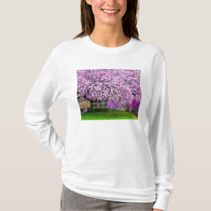 USA, Delaware, Wilmington. Wooden bench under T-Shirt