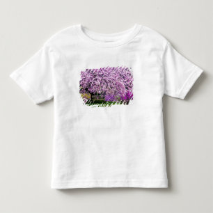 USA, Delaware, Wilmington. Wooden bench under Toddler T-Shirt