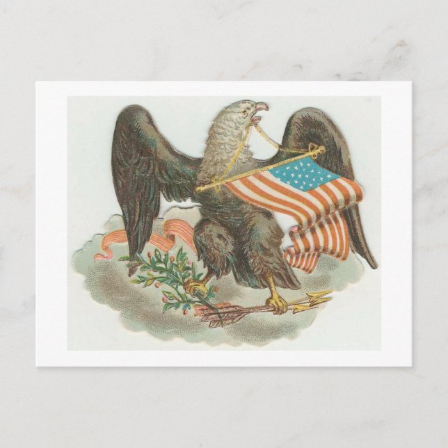 USA Eagle and Flag Postcard (Front)