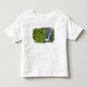 USA, Eagle Creek, Columbia Gorge, Oregon. 2 Toddler T-Shirt
