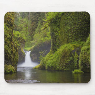 USA, Eagle Creek, Columbia Gorge, Oregon. 3 Mouse Pad
