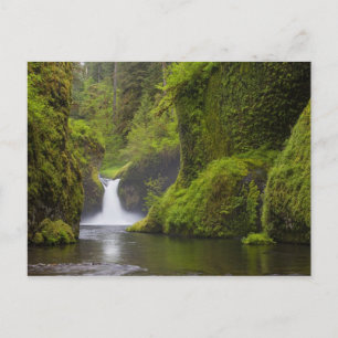 USA, Eagle Creek, Columbia Gorge, Oregon. 3 Postcard