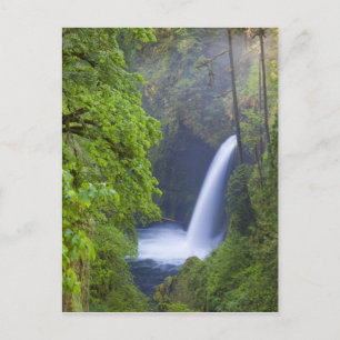 USA, Eagle Creek, Columbia Gorge, Oregon. Postcard