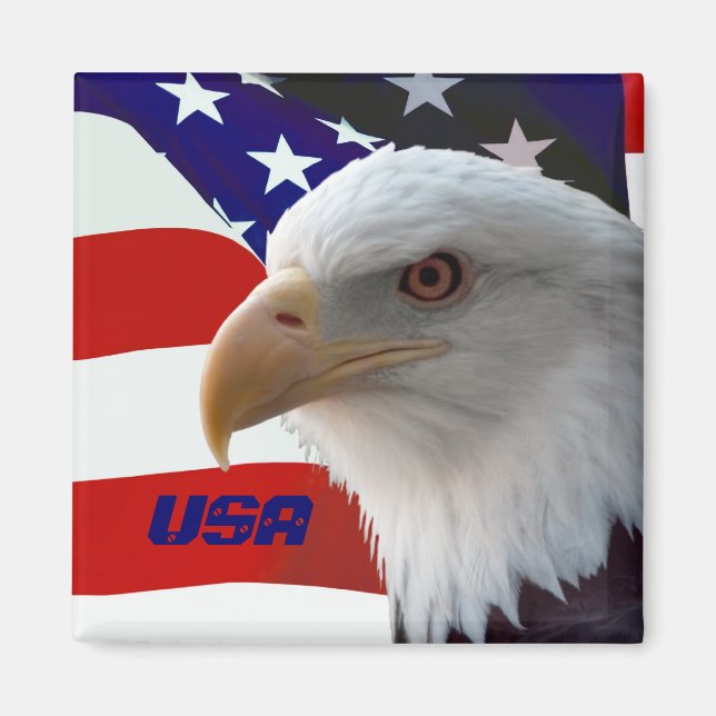 USA Eagle Magnet (Front)