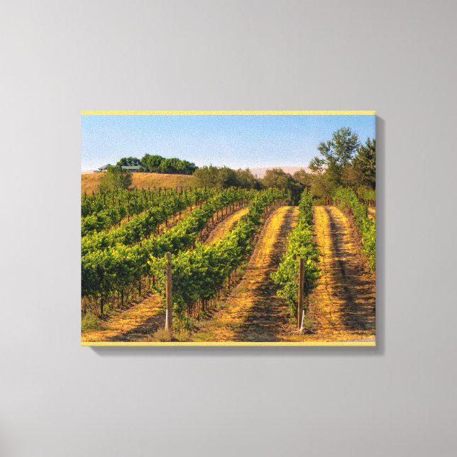 USA, Eastern Washington, Walla Walla Vineyards Canvas Print (Front)