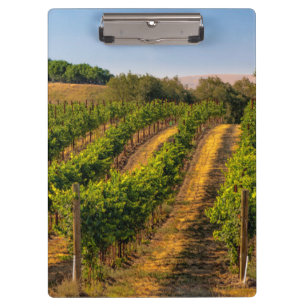 USA, Eastern Washington, Walla Walla Vineyards Clipboard