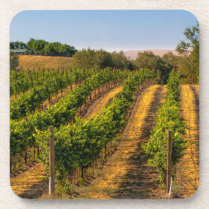 USA, Eastern Washington, Walla Walla Vineyards Coaster
