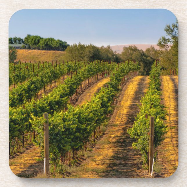 USA, Eastern Washington, Walla Walla Vineyards Coaster (Front)