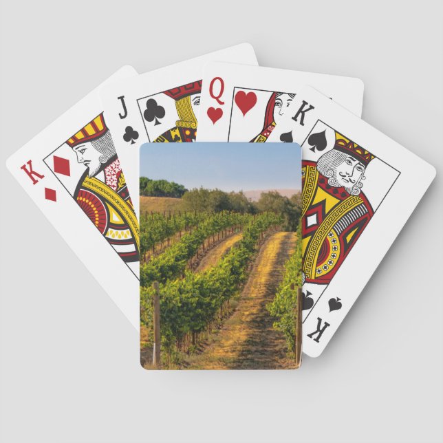 USA, Eastern Washington, Walla Walla Vineyards Playing Cards (Back)