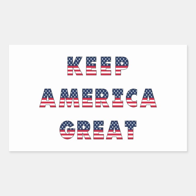 USA Elections Party Collection!  Rectangular Sticker (Front)